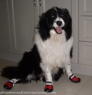 Diesel in boots
